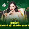 đá gà chém trực tiếp i9Bet