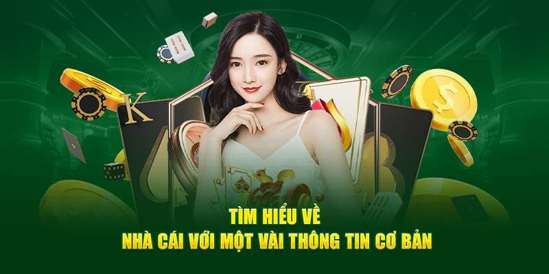 đá gà chém trực tiếp i9Bet